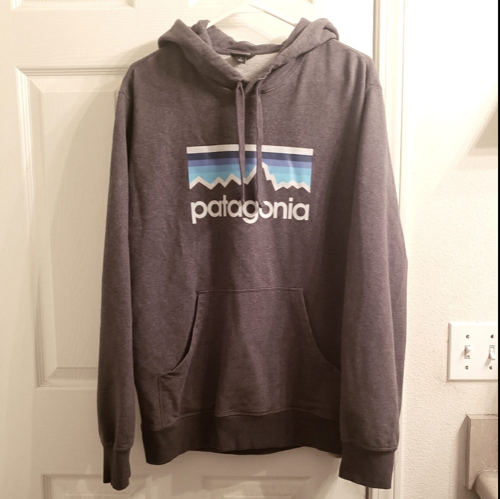 Patagonia Men's Hoodie (M)